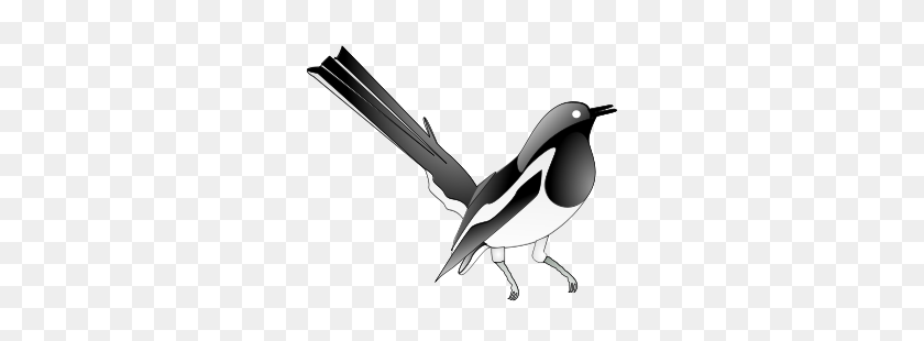 300x250 Animal Png Clip Arts - Chickadee Clipart