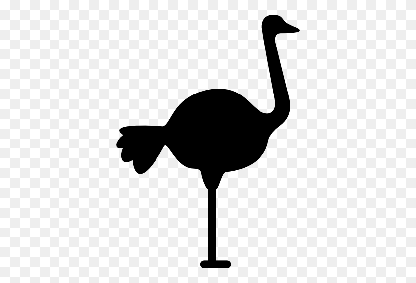 512x512 Animal Silhouettes Icon - Emu Clipart