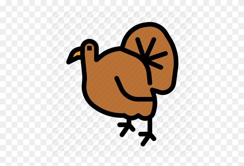 512x512 Animals, Chicken, Dinner, Food, Thanksgiving, Turkey Icon - Thanksgiving Turkey PNG