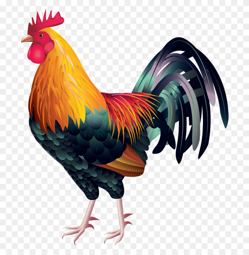 703x800 Animals Clip Art Rooster, Rooster Vector - Cock Clipart