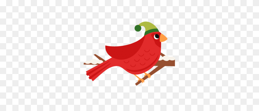 300x300 Animalespets - Cardinal Clipart