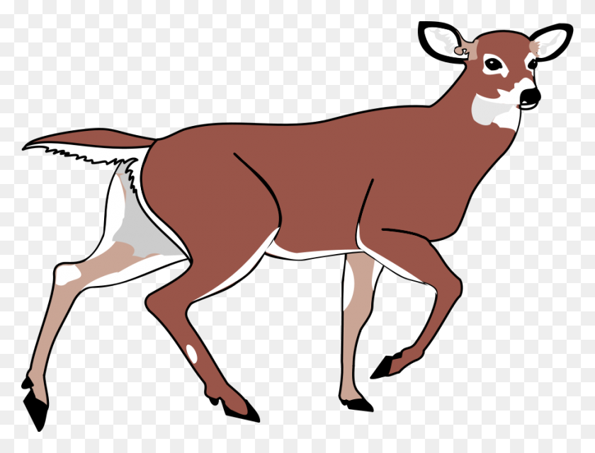 900x670 Animated Deer Clipart - Santa And Reindeer Clipart