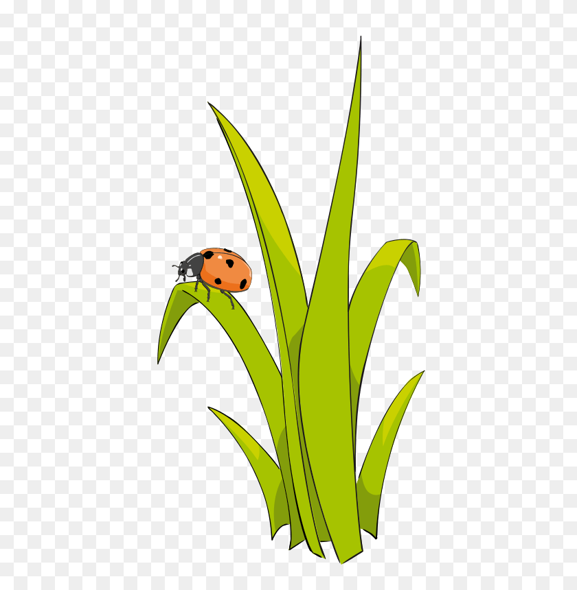 448x800 Animated Grass Cliparts - Agave Clipart