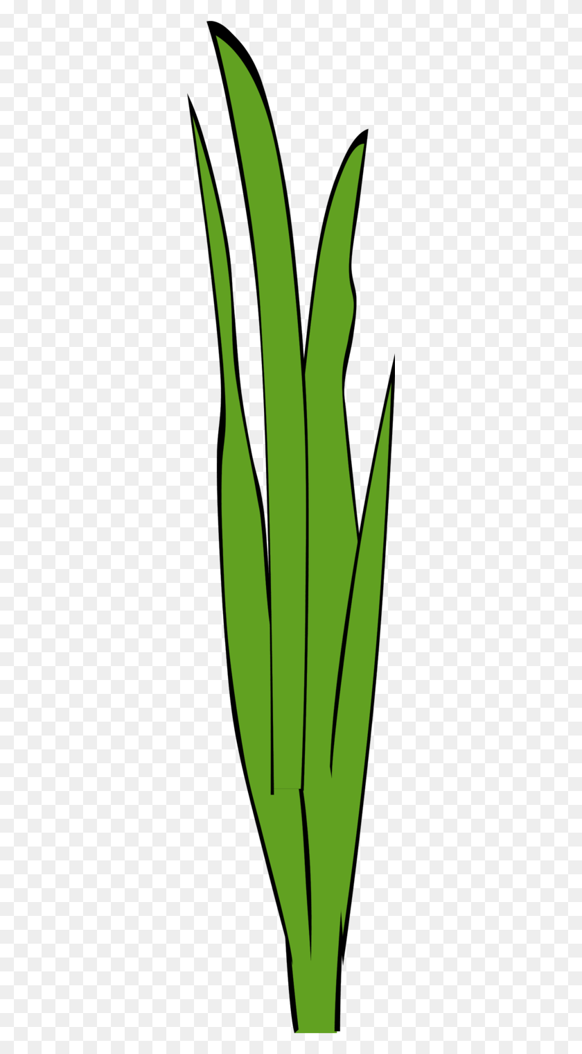 300x1459 Animated Grass Cliparts - Grass Background Clipart