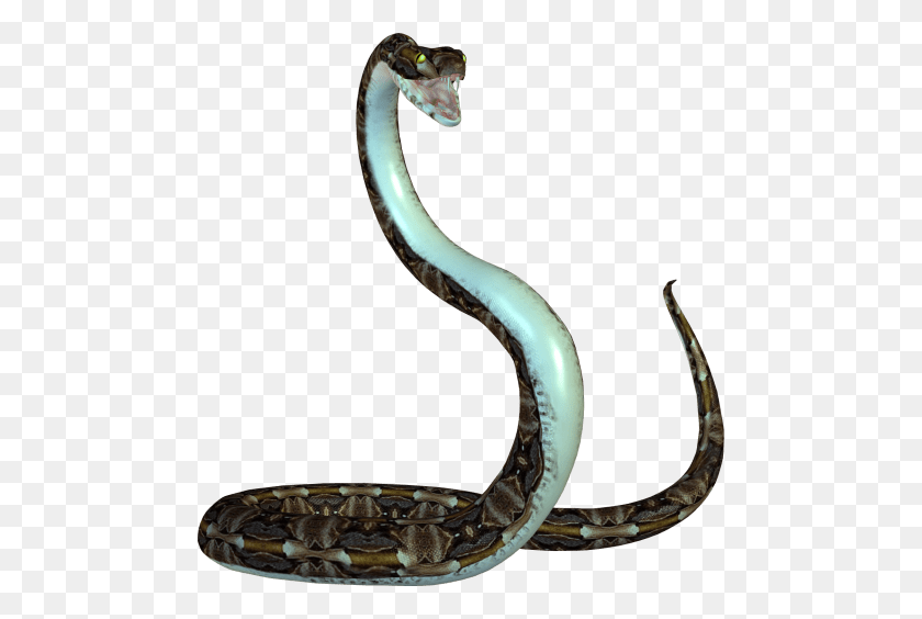 480x504 Animated Snake Png - King Cobra PNG