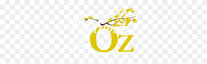 285x202 Evento Familiar Anual De Dos Días Para Celebrar Todo El Mago De Oz - Carretera De Ladrillos Amarillos Png