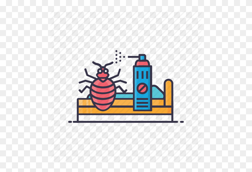 512x512 Ant, Bed, Bug, Cockroach, Lady Bird, Removal, Spray Icon - Cockroach PNG