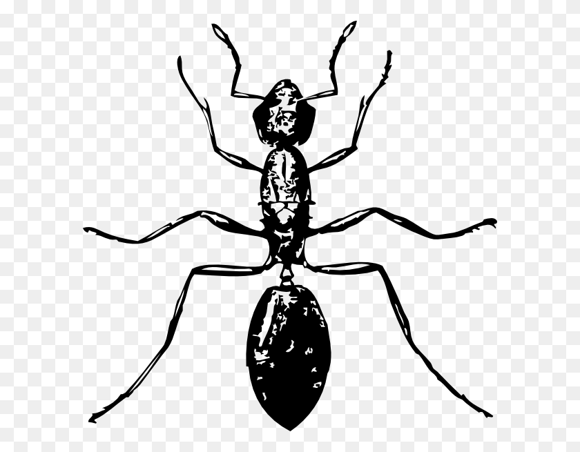 600x595 Ant Black And White Ant Clip Art - Slime Clipart Black And White