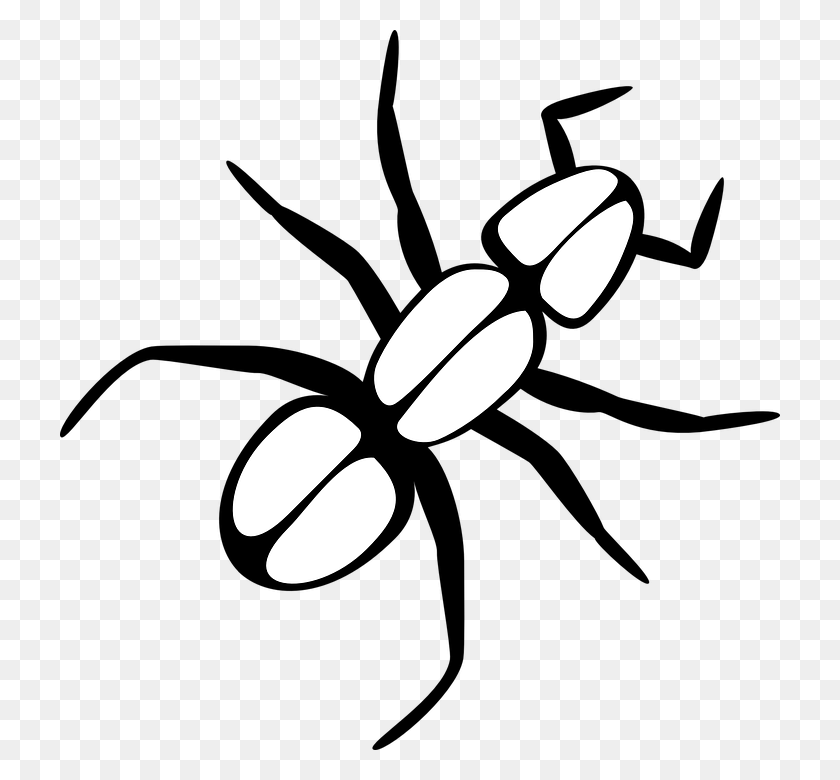 720x720 Ant Black And White Ant Free Illustrations - Slime Clipart Black And White