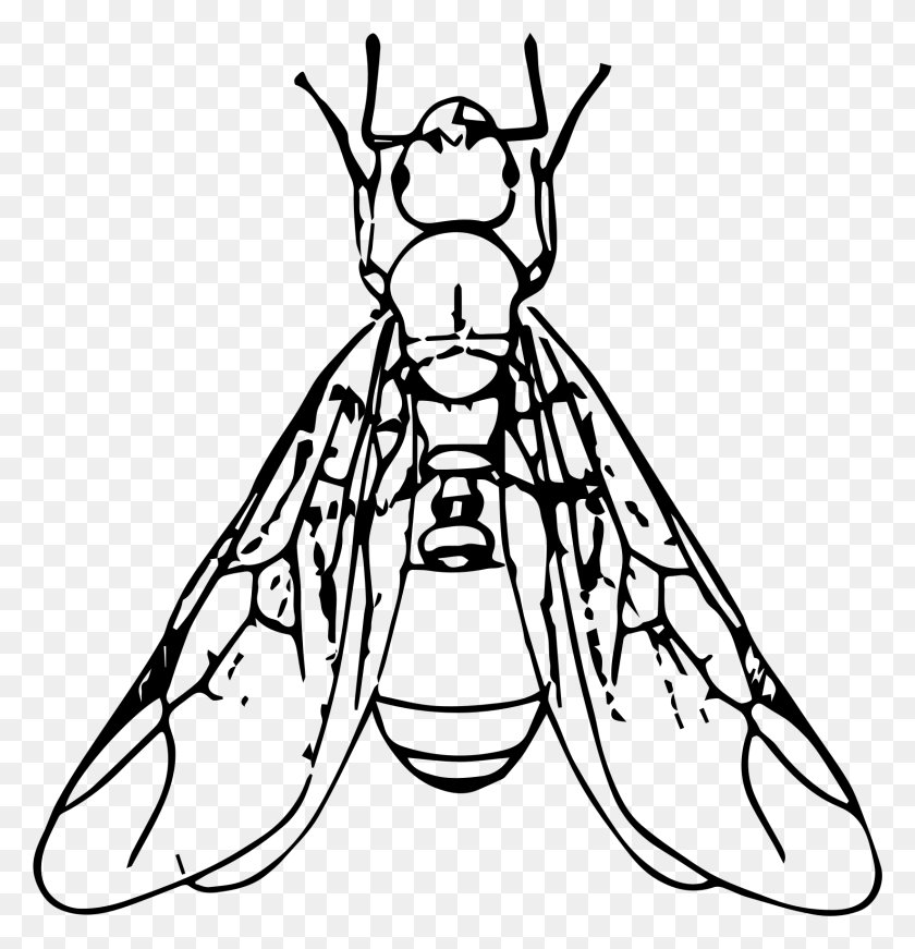1645x1711 Ant Black And White Clipart Winged Ant - Picnic Ants Clipart