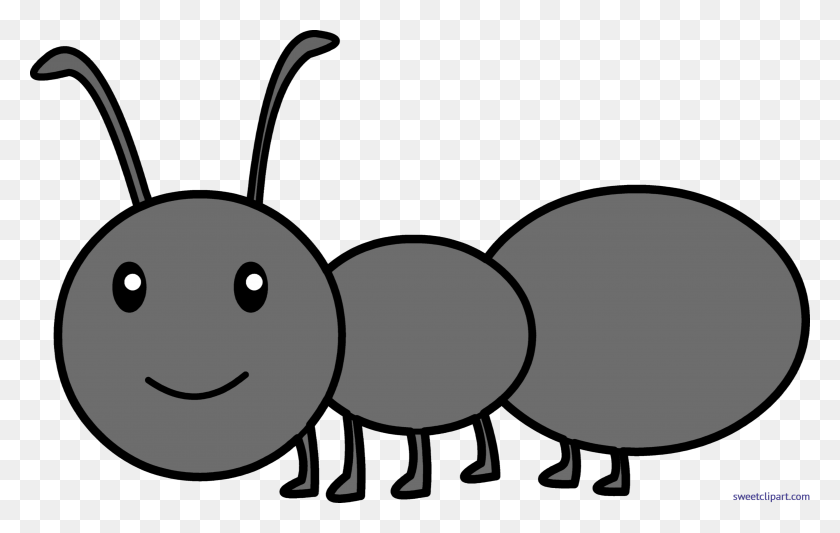 4989x3029 Hormiga Negra Clipart - Ant Clipart Png