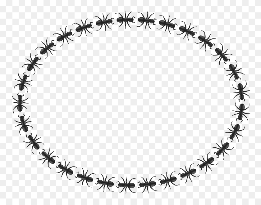2400x1850 Ant Border Oval Icons Png - Rope Border PNG