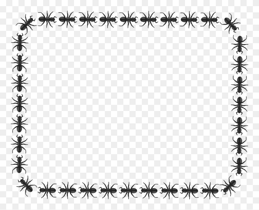 800x637 Ant Border Rectangle Clipart Insects Dragonfly Lady Bugs Snails - Snail Clipart Black And White