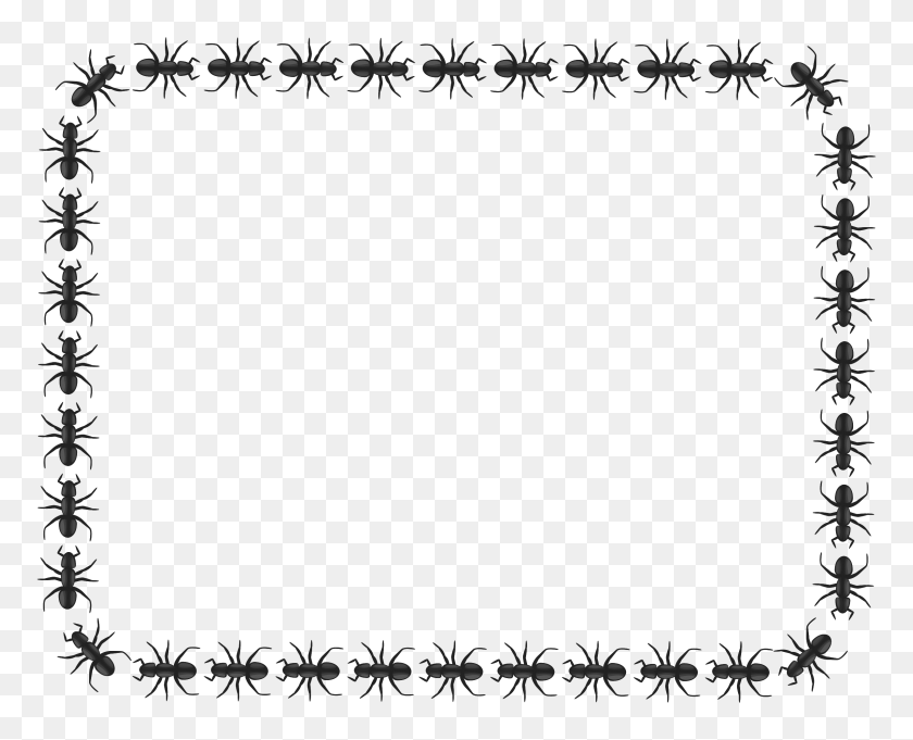 2400x1911 Ant Border Rectangle Icons Png - Rectangle Border PNG