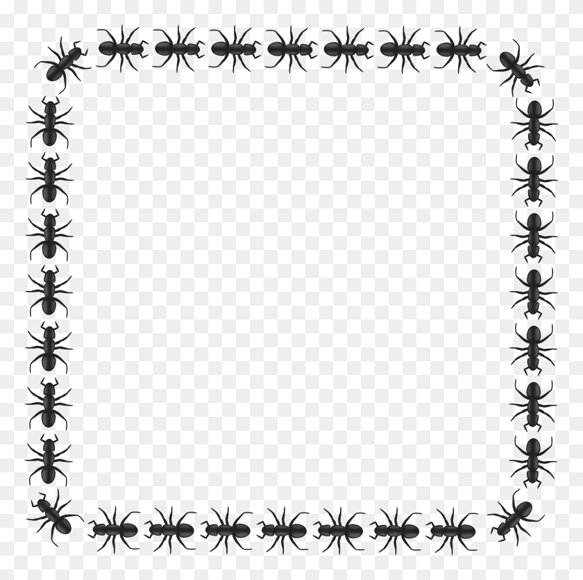 2400x2387 Ant Border Square Icons Png - Square Border PNG