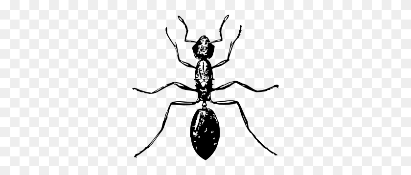 300x298 Hormiga Clipart Vector Gratis - Cute Ant Clipart