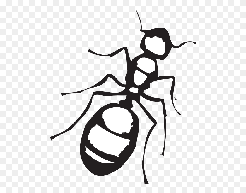 498x599 Ant Clipart Black And White Nice Clip Art - Ant Clipart Black And White