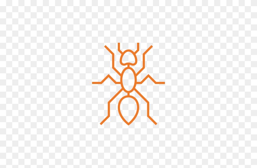 700x490 Ant Control - Thorn PNG