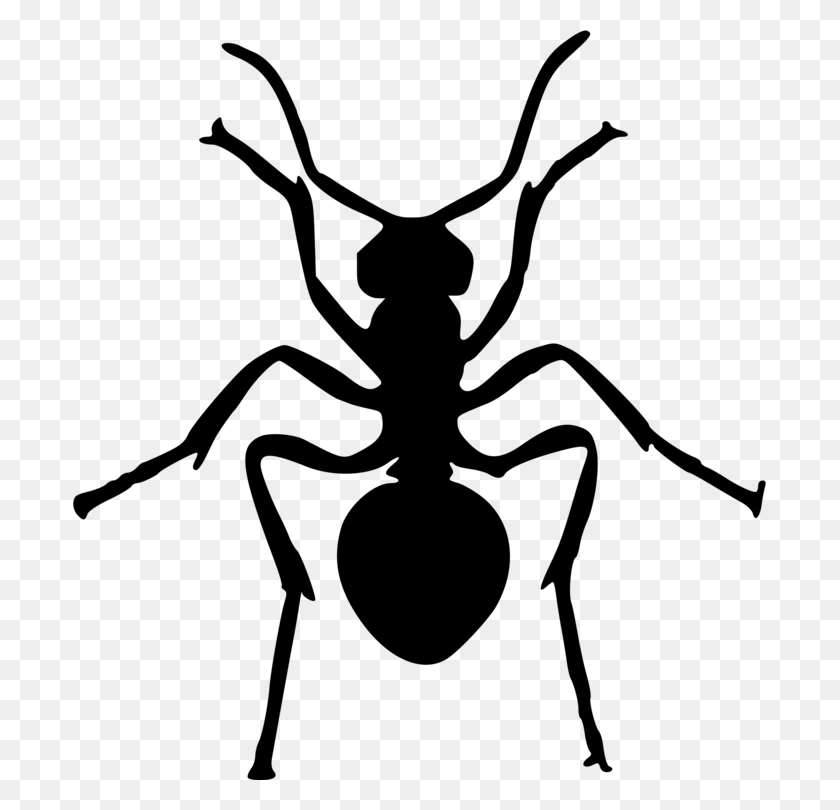 693x750 Ant Insect Art Silhouette Drawing - Free Ant Clipart