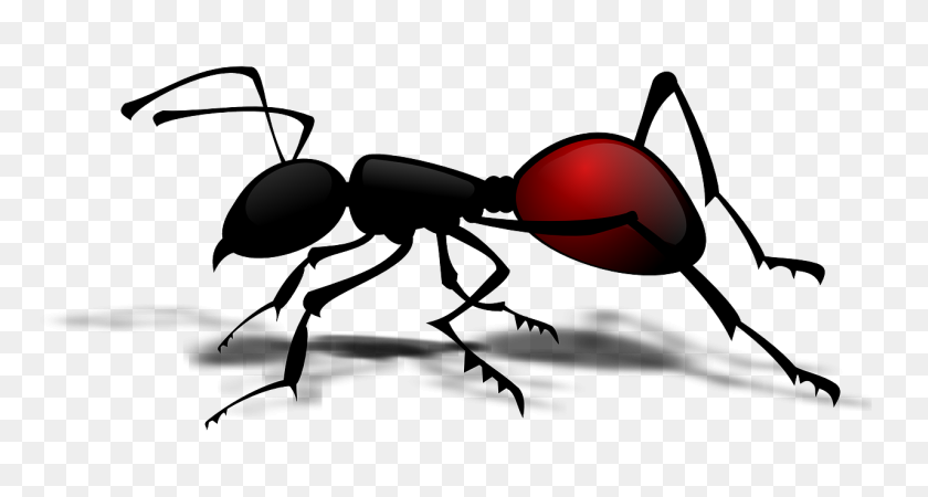 1280x640 Ant Insect Clip Art - Crawl Clipart