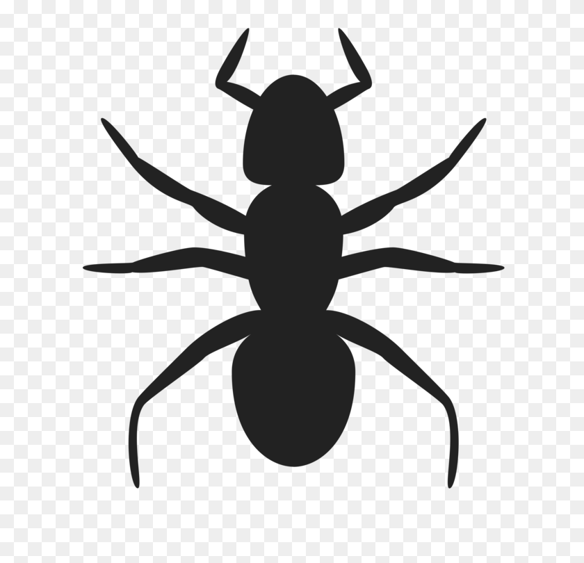 750x750 Ant Insect Silhouette Art Drawing - Ant Clipart Black And White