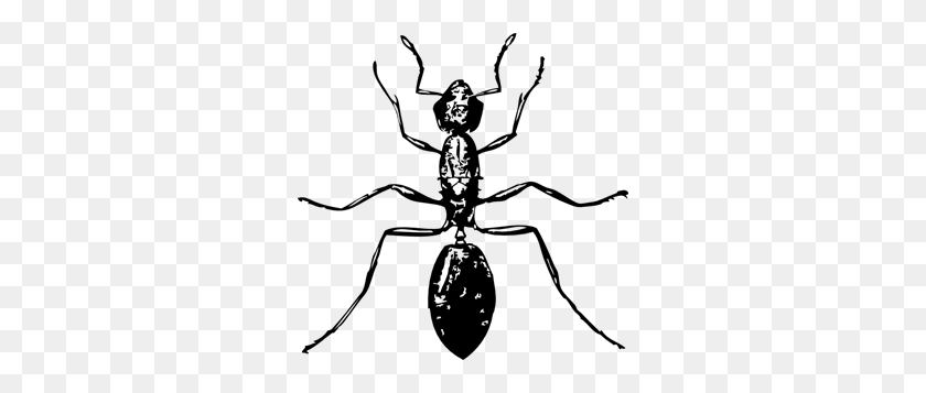 300x297 Ant Png, Clip Art For Web - Ant PNG