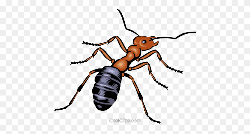 480x389 Ant Royalty Free Vector Clip Art Illustration - Termite Clipart