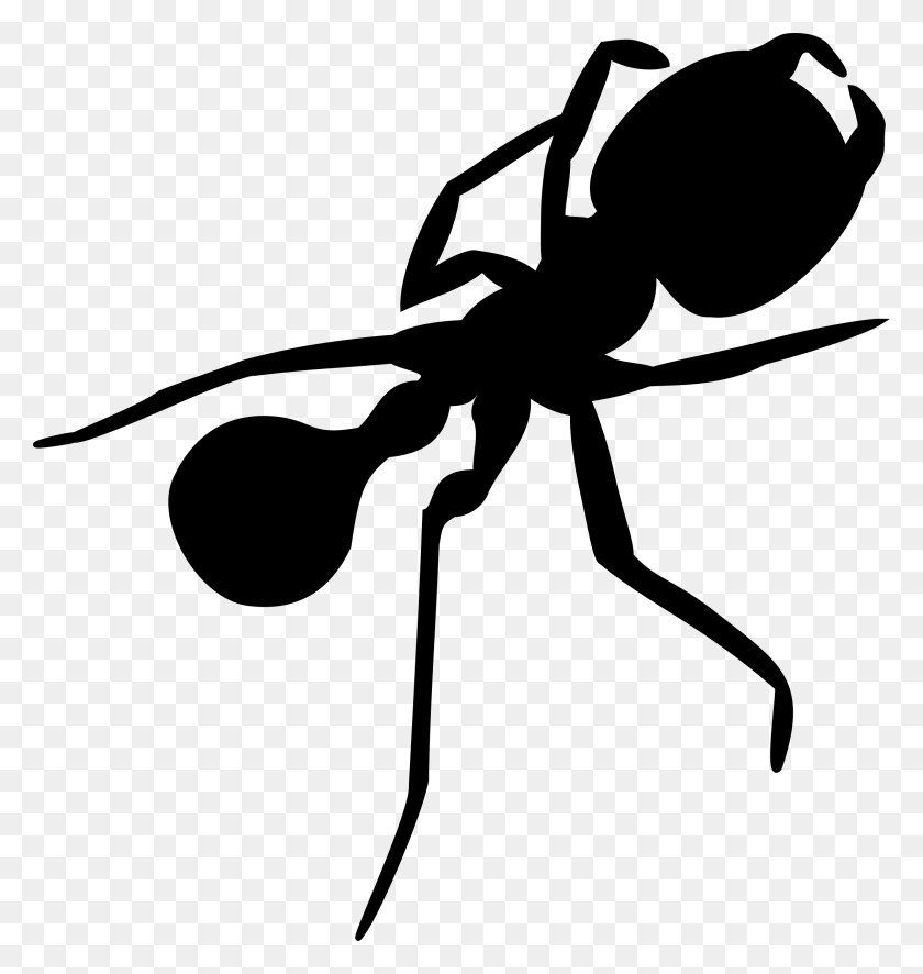 2265x2400 Ant Silhouette Icons Png - Ant PNG