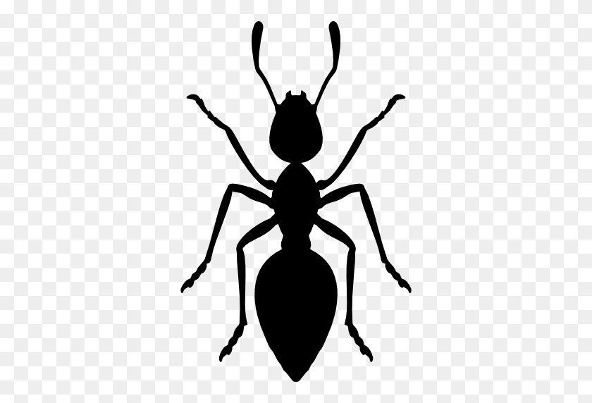 512x512 Ant Transparent Image Png Arts - Ant PNG