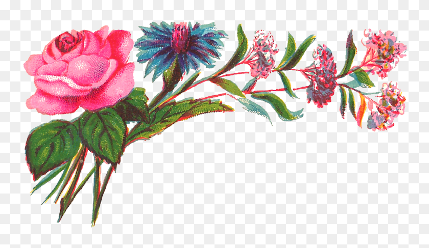 1500x823 Антикварные Изображения Цифровой Декоративный Цветочный Уголок Скачать Роза - Полевые Цветы Png