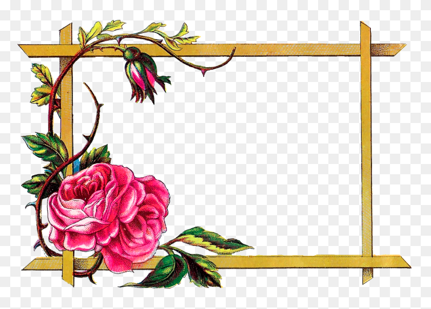 1350x940 Antique Images Floral Frame Digital Download Pink Rose Border - Rose Frame PNG