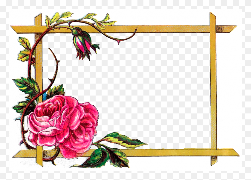 1350x940 Antique Images Floral Frame Digital Download Pink Rose Border - Floral Border PNG