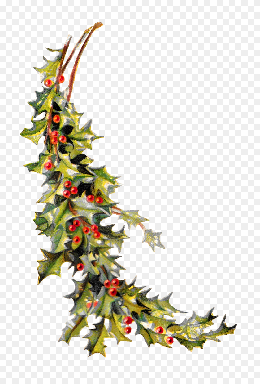 1059x1600 Imágenes Antiguas Gratis Christmas Holly Image Holiday Clipart - Crafting Clipart