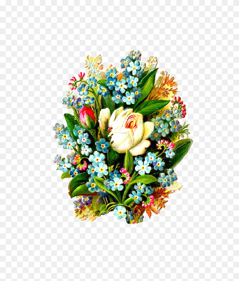 970x1155 Antique Images Free Digital Flower Clip Art Graphic Of White - Забудьте Меня, Не Клипарт