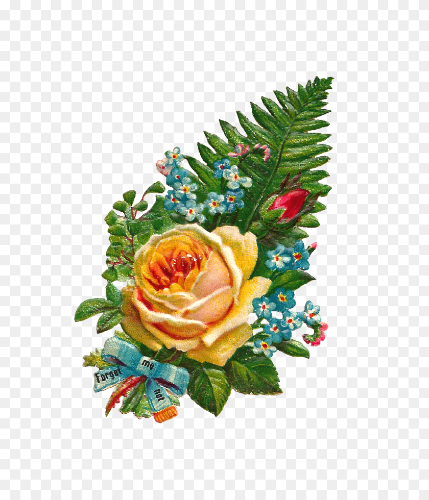 1080x1275 Antique Images Free Digital Flower Clip Art Желтая Роза - Не Забывай Меня Клипарт