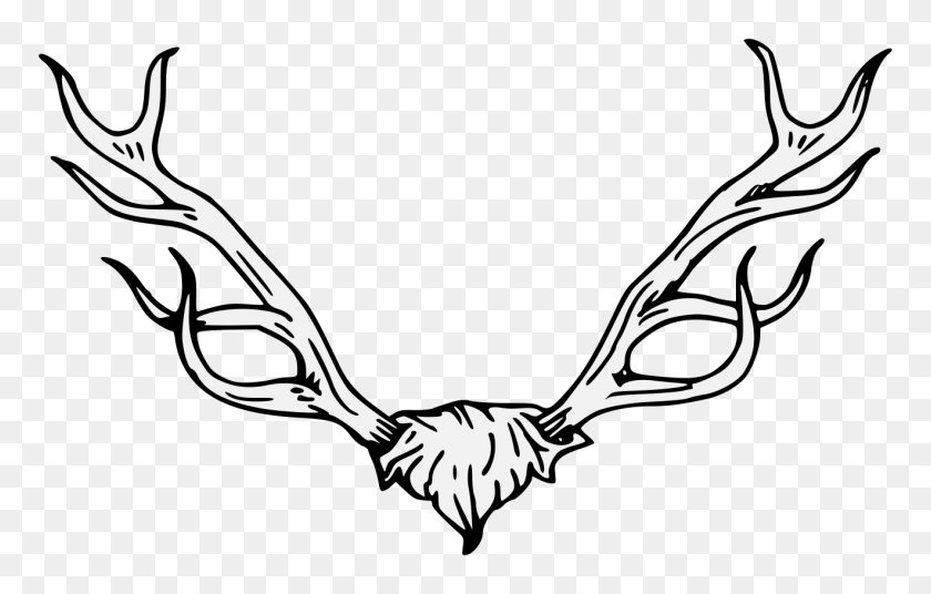1320x806 Antler Clipart Traceable - Antler Clipart Black And White
