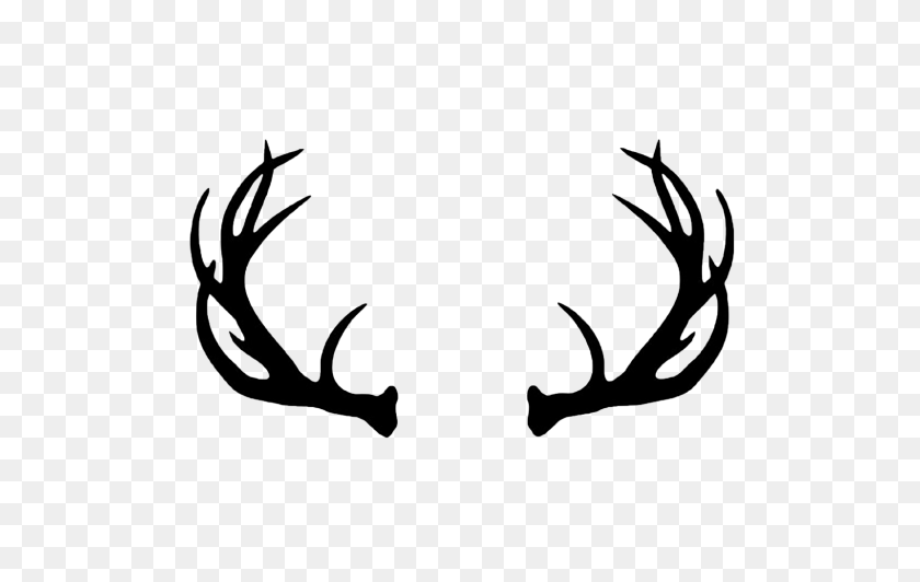 1600x970 Antler Logos - Deer Head Silhouette PNG