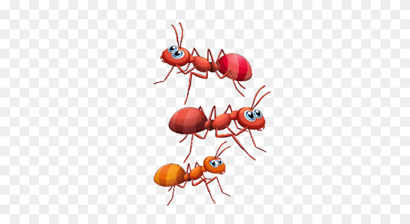 400x400 Ants Clipart Gallery Images - Marching Ants Clipart