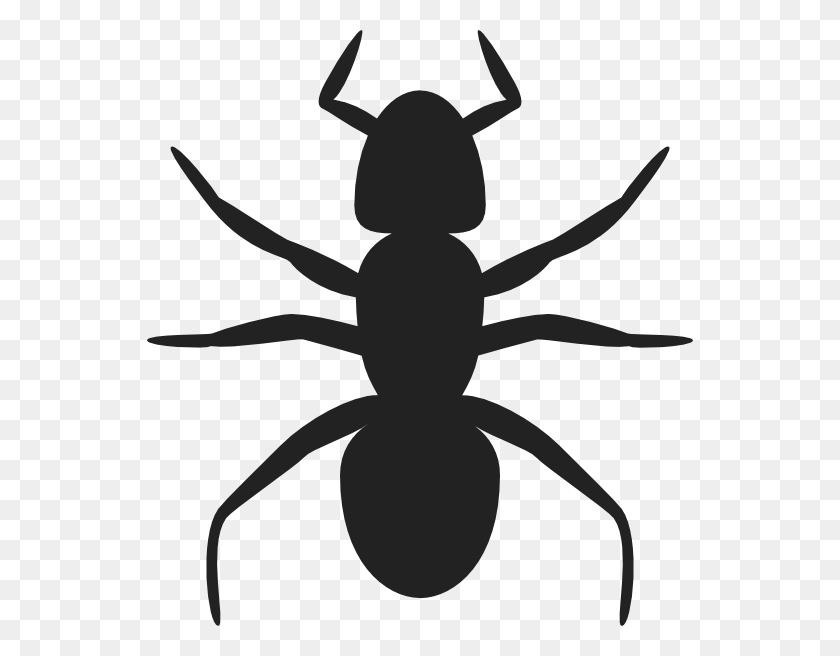 546x596 Hormigas Clipart Sombra - Ant Clipart Blanco Y Negro