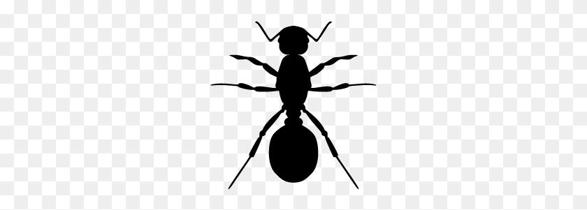 238x241 Ants Png Images Free Download, Ant Png - Ant PNG