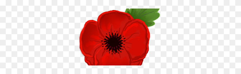 300x200 Anzac Poppy Png Png Image - Poppy PNG