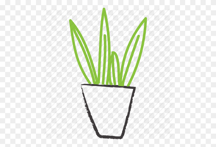 512x512 Декоративный, Зеленый, Растение, Плантатор, Схематично, Меч, Комнатное Растение - Плантатор Png