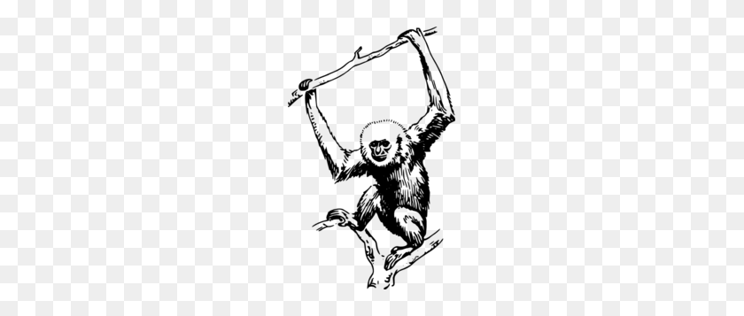 189x297 Ape Hanging From Branch Clip Art - Ape Clipart