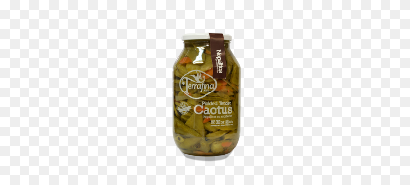 480x320 Apolo Commercialpickled Cactusready To Oz - Nopal PNG