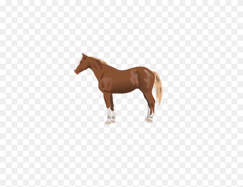 1000x750 Appaloosa American Paint Horse American Quarter Horse Mustang - Quarter Horse Clipart