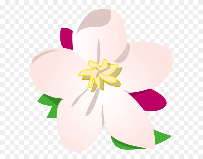 594x599 Apple Blossom Clip Art - Apple Blossom Clipart
