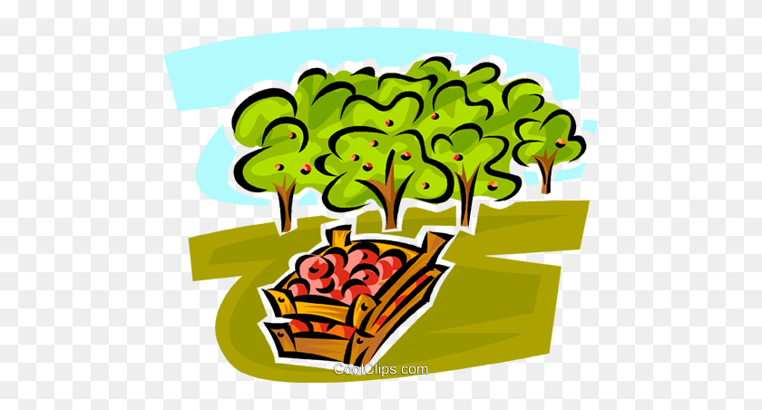 480x392 Apple Orchard Royalty Free Vector Clip Art Illustration - Orchard Clipart
