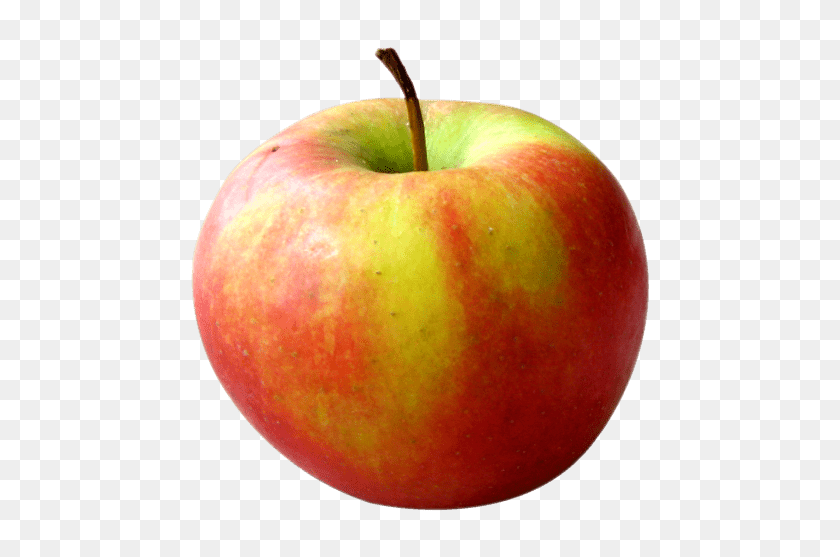 480x497 Apple Red Png - Red Apple PNG