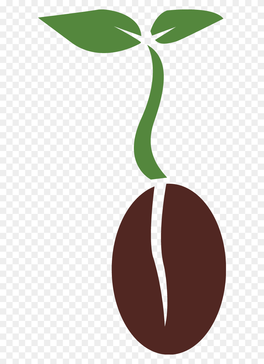 598x1097 Apple Seed Clip Art - Seed Clipart