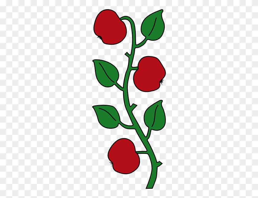 240x586 Apple Tree Branch Clip Art Free Vector - Rose Vine Clipart